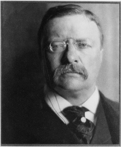 Theodore Roosevelt by Alvin Langdon Coburn
